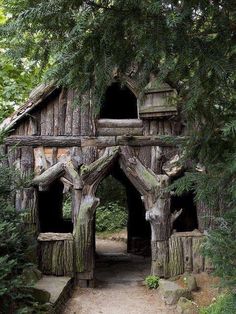 an old wooden structure with trees growing out of it