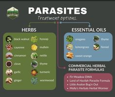 the different types of parsleys and their uses