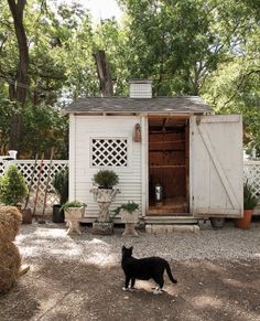 a black cat standing in front of a white shed with a door and window on the side