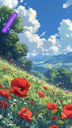 a field full of red flowers under a blue sky