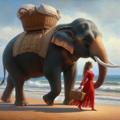 an elephant with baskets on its back walking down the beach next to a woman in a red dress