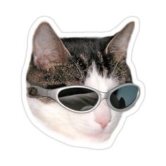 a cat with sunglasses on it's head and its eyes are half - closed