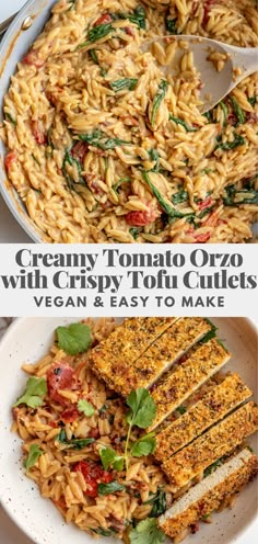 creamy tomato orzo with crispy tofu curls and vegan & easy to make pasta