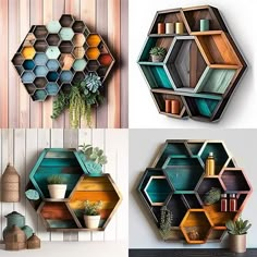 the shelves are made out of hexagonal shapes and have succulents on them