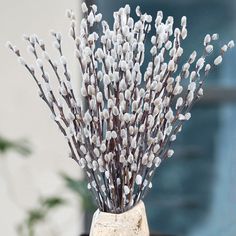 a vase filled with white flowers sitting on top of a table