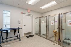 a dog is standing in an enclosed area with glass doors and a sign on the door