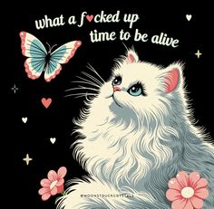 a white cat with blue eyes and pink flowers on it's chest is looking at a butterfly that says, what a shocked up time to be alive