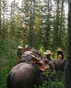 three people are riding horses through the woods