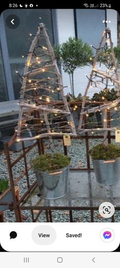 two metal buckets filled with plants and lights