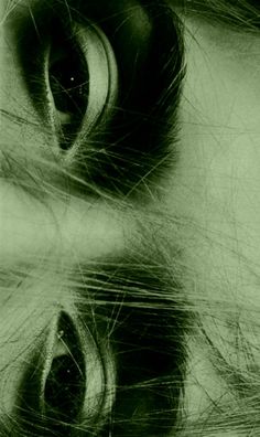 a close up view of an animal's eye with long, wavy hair on it