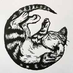 a black and white drawing of a cat curled up in the shape of a circle