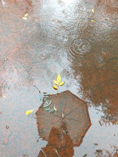 an umbrella is sitting in the middle of a puddle with yellow leaves on it's side