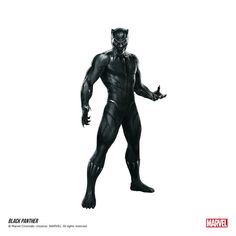 a black panther standing in front of a white background