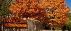 a wooden fence with a sign that says lost maples state park in front of it