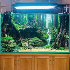 an aquarium filled with green plants and water in front of a wooden cabinetd wall