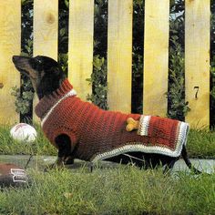 a dog wearing a sweater sitting in the grass next to a fence with balls on it