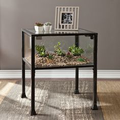 a small glass table with plants in it