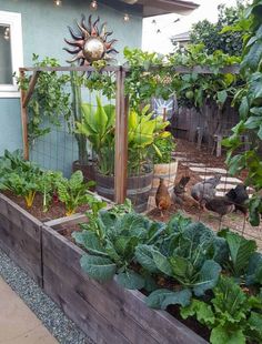 an outdoor garden with lots of plants and chickens