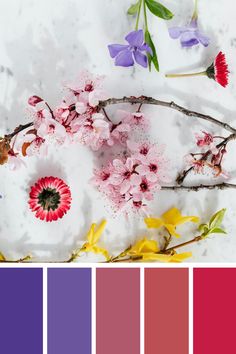 the color palette is red, purple, and yellow with pink flowers on it's branches