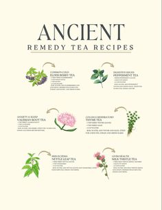 an ancient tea recipe with flowers and herbs