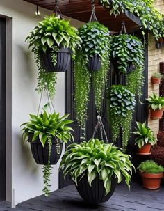 several hanging plants in black pots on the side of a building with wooden flooring