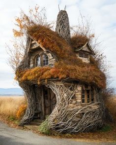 an old house with vines growing on it's roof