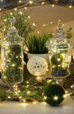 three glass jars filled with moss and lights on top of a wooden table next to a potted plant