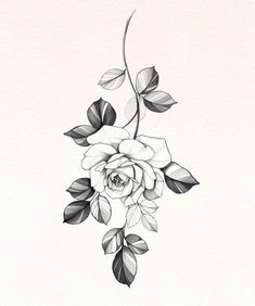 Peony Flower Tattoos, Tattoos Back, Rose Drawing Tattoo, Flower Tattoo Drawings, Men Tattoo, Floral Tattoo Sleeve, Flower Drawing Design, Peonies Tattoo, Tattoo Designs For Men