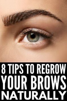 Brow Tips, Hair Growth Remedies, Brow Hacks, Diy Hair Growth, Eyeshadow Basics, Fast 8, How To Grow Eyebrows