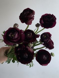 a person holding a bunch of flowers in their hand with the stems still attached to it