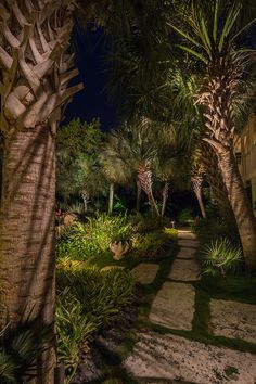 a pathway between two palm trees in front of a house at night with lights on