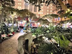 a christmas tree is lit up in the middle of a courtyard with trees and plants