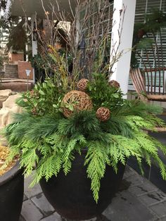 Christmas Urns - Never miss the latest and greatest offer. Click to visit and discover more! Porch Pots Winter Birch Branches, Outdoor Pine Arrangements, Porch Planters Christmas, Winter Floral Arrangements Home, Holiday Urn, Winter Pots, Winter Planters, Porch Pots, Christmas Urns