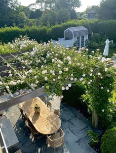 an outdoor table and chairs in the middle of a garden with white flowers on it