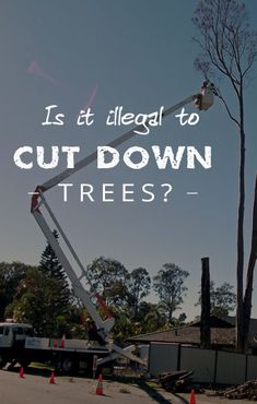 a man on a cherry picker cutting down a tree with the words is it illegal to cut down trees?