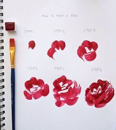 the steps in how to paint roses on paper