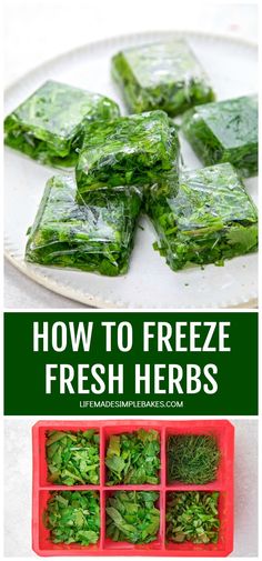 how to freeze fresh herbs in plastic containers on a white plate with text overlay that reads, how to freeze fresh herbs