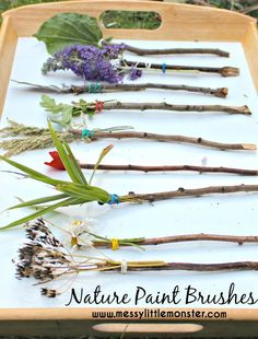 a wooden tray filled with different types of twigs