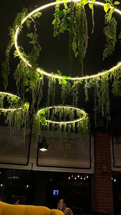 an indoor area with plants hanging from the ceiling