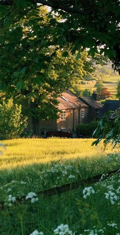 a house in the middle of a field with tall grass and wildflowers around it