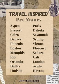 an advertisement for travel inspired pet names