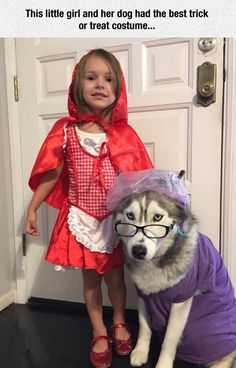 Para la chancha Trick Or Treat Costume, Red Cape, Dog Halloween Costumes, Fantasias Halloween, Dog Costumes, Memes Humor, Dog Costume, Halloween Animals