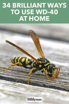 a yellow and black insect with the words, 34 brilliant ways to use wd - 40