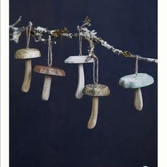 several different types of mushrooms hanging from a branch