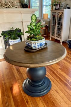 a potted plant sitting on top of a wooden table