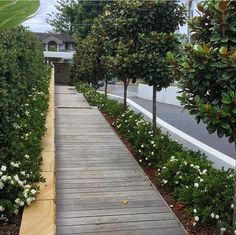 a wooden walkway surrounded by trees and flowers on the side of a road with houses in the background