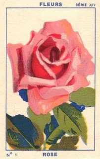 a stamp with a pink rose on it