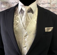 Quinceanera Champagne, Graduation Fits, Costume Beige, Formal Suits Men, Mens Formal Vest, Vest And Bow Tie, Mens Wedding Attire, Black Suit Men, Formal Vest