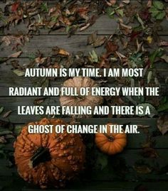 autumn is my time i am most radant and full of energy when the leaves are falling and there is a ghost of change in the air