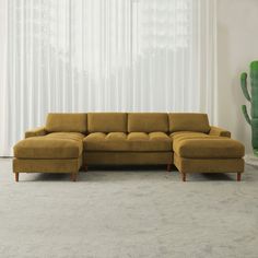 a couch sitting in front of a window next to a green cactus on the floor